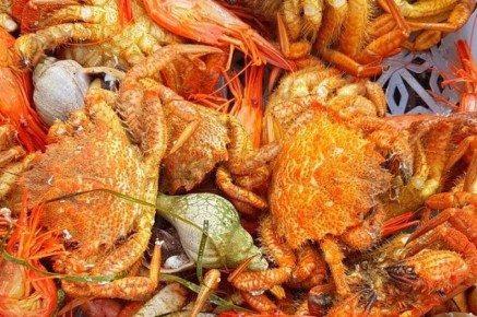 Разрешенные морепродукты во время Великого поста