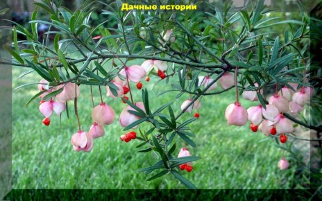 ��������� ���������� ��� �������� �������� ������ ����