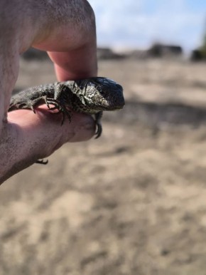 Доброе утро, друзья!. 10 апреля — День брата и сестры, День гречки, День банана и День рождения спички