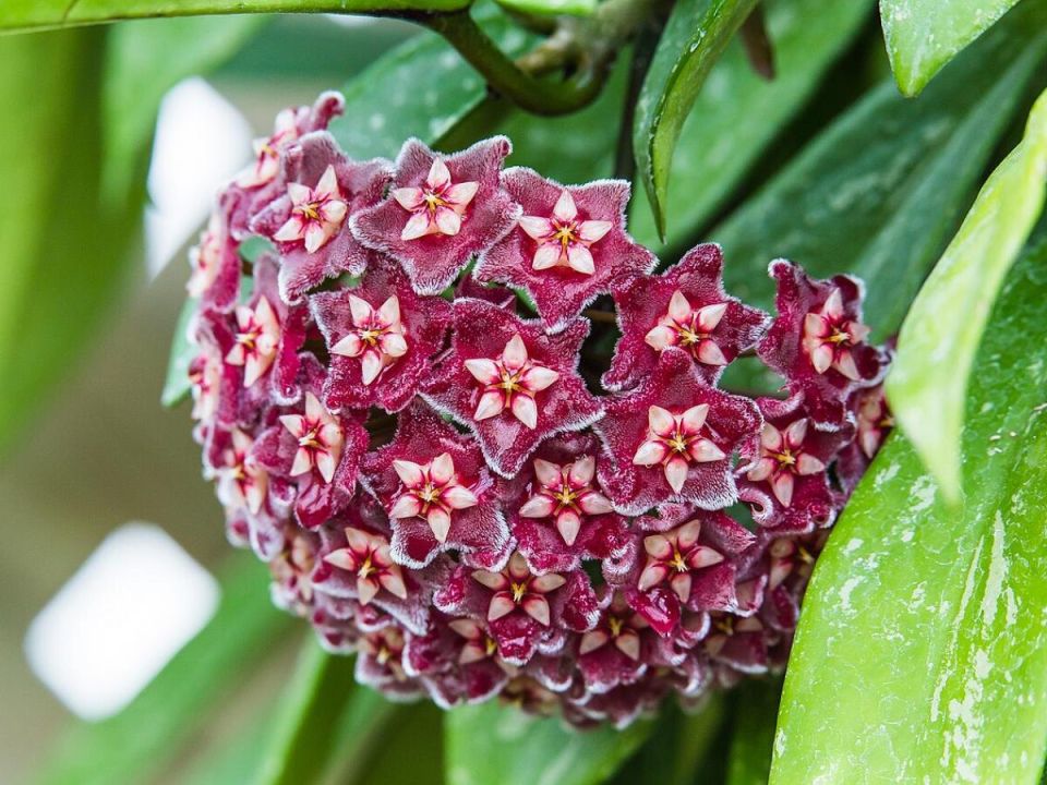 ����� �� ������ � �������? ��� �������� � ����� ����