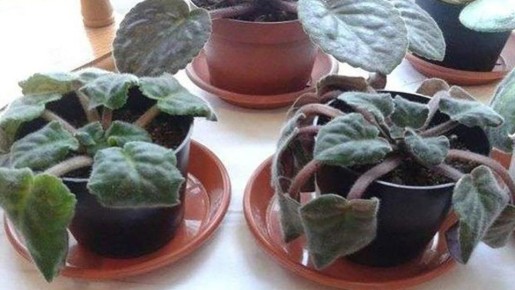 ��� ������� � ����� ��������� ������ �� ������ ������� ����