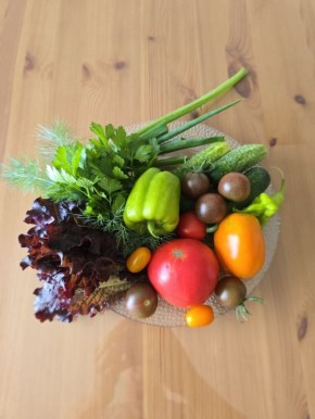 Уникальный подход к кулинарии и самодостаточности