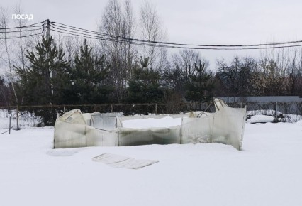 ������� ����������� ��������� ����� ������� ����������