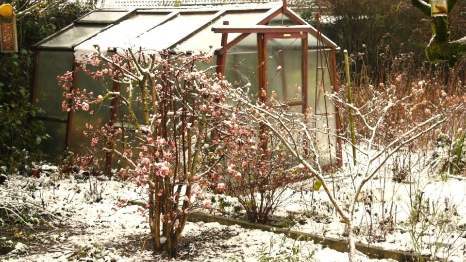 �� ����� �����: ������ ��������� ��� ������� ������������ ������ ����