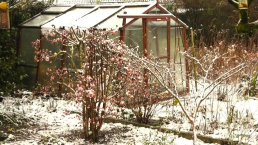 �� ����� �����: ������ ��������� ��� ������� ������������ ������ ����