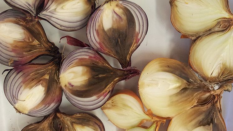 ��� ���������� ������ � ������ ���� ������� ������: ������ �� ������� ���������