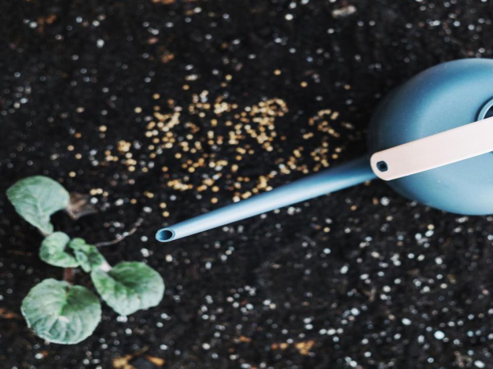 �������� �������: ��� ���������� ������������ � ��������� � ����� ����