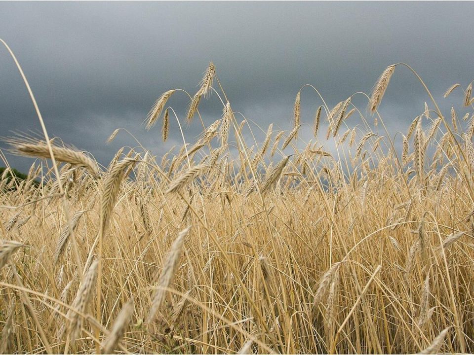 �������� � �������: ���� � �������� ������ � ������� �������