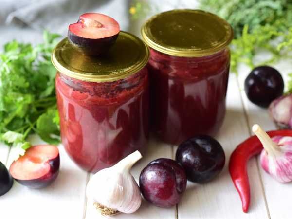 �������: ������� ���������� ����������� ����� ��� ������ �����