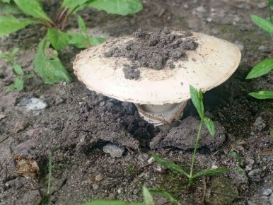 ������� ����������� �� ���� ������: ��� ��� ������ ���������