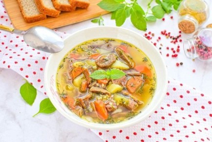 Суп как искусство: погружение в ароматные традиции с грибами и мясом