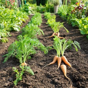 ��� ����������� ������ ��� ���������� ������ �������: ������� �������� ������