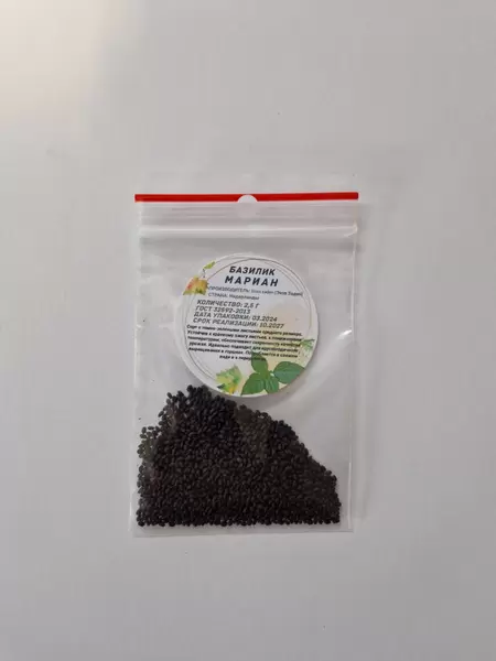 Как правильно вырастить базилик: все этапы от выбора семян до сбора урожая