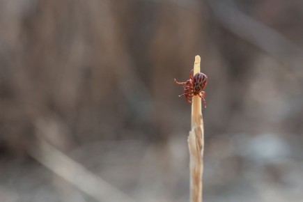 �� ������ � ����������� ������� ����� ������� 34 ��������, �� ��� 9 �����