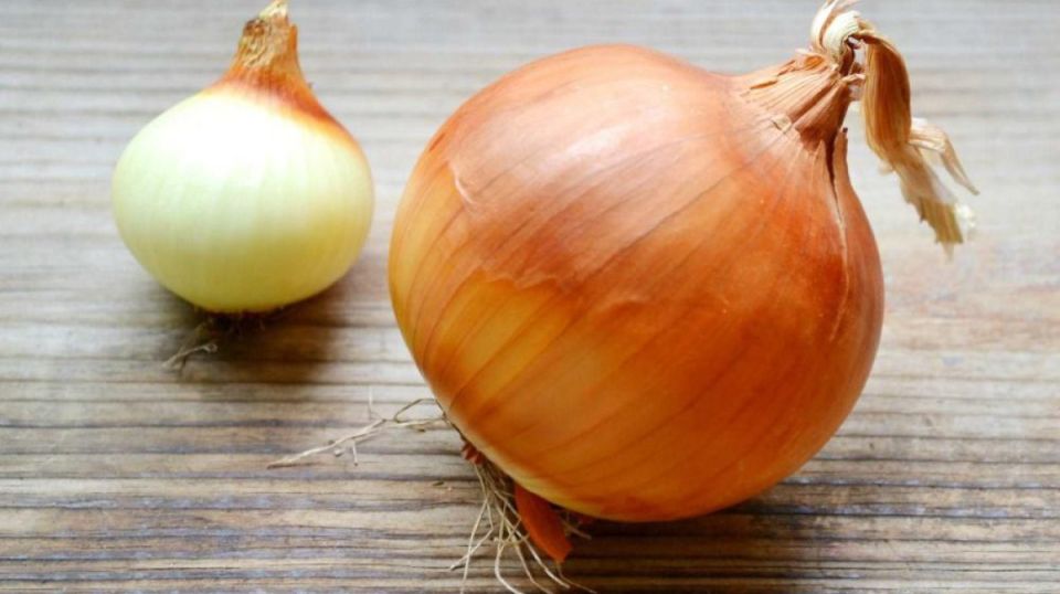 ������ ��� ������ ������ ��������� ����� �� ����� �����?