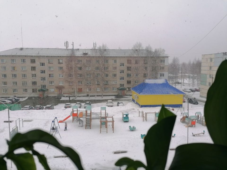 ��� ������ ��������� � ���������� �����