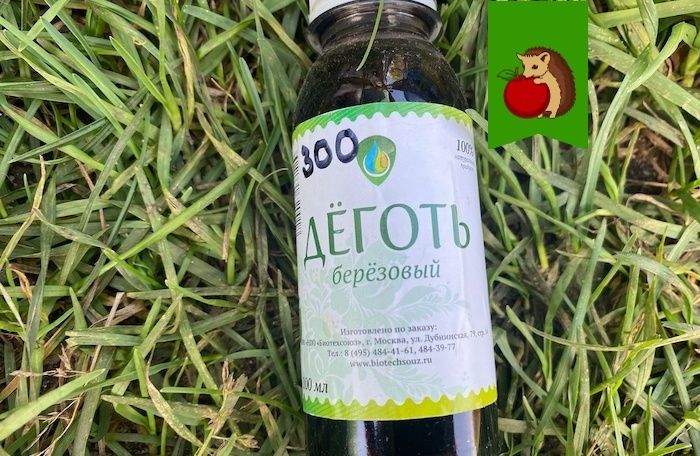 ������������ �������� ���������� ����� � �����������