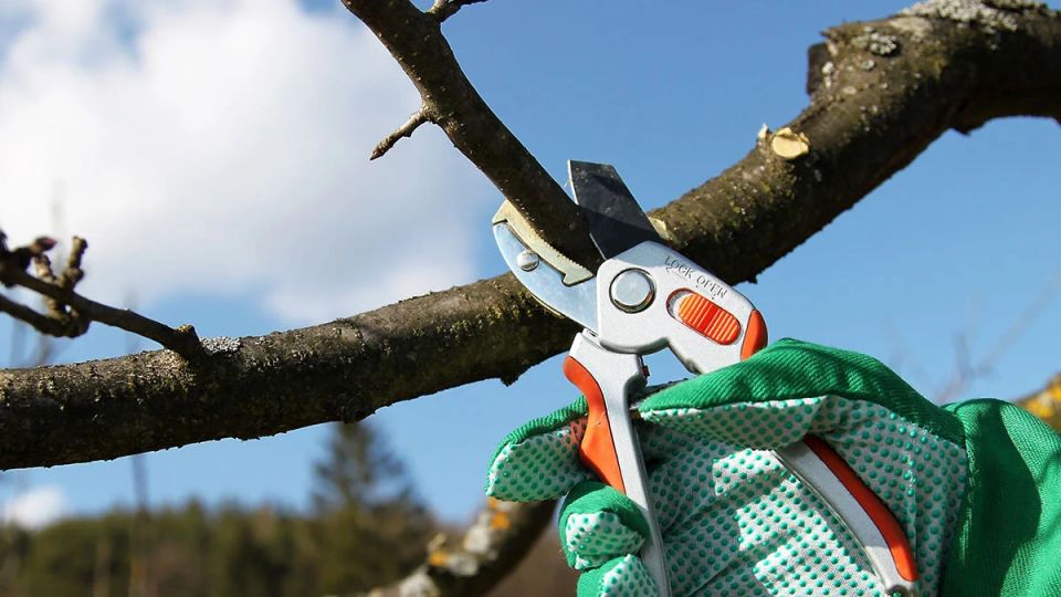 ����� � ����� ����� ���������� ����� �� ��������: �������� ������ ��� ���������