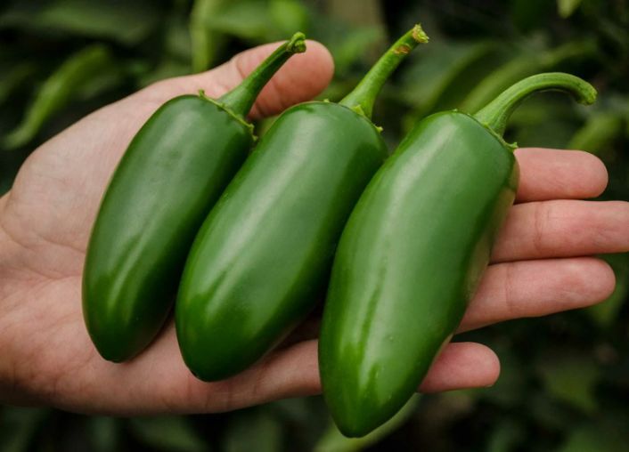 ���������� ����������� �������� � ������� �����: ��� ��� ����������?