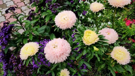 ��� ���������� ������ ����������� ����: ������� ��������������