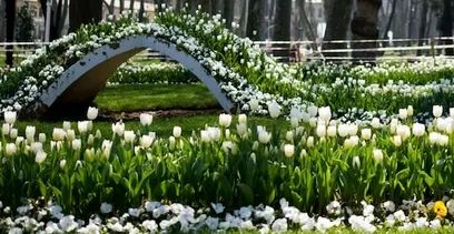 ����� ������ �� �����������: ��� �������� � 2026 ����