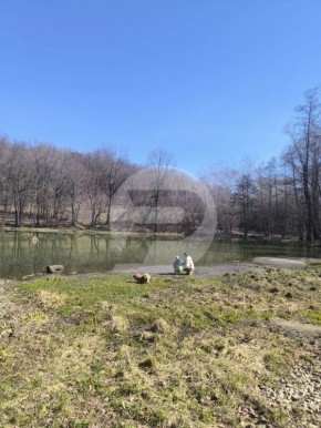 �������� � ��������. ������� �������� �� �������� ����������� � ����