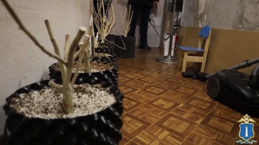 ����������� ����������� ������� ���� ����������� ��������������� � �������� ��������������� ��������