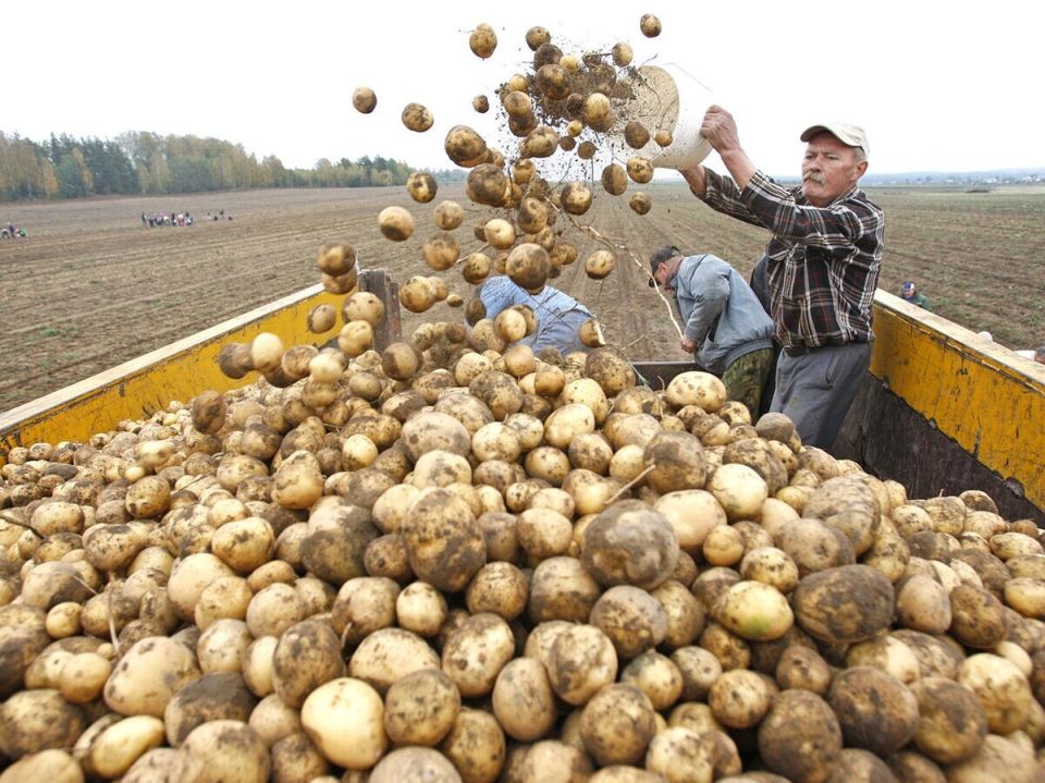 ������������ ����� ��������� � ��������: ���� ��� �������������?