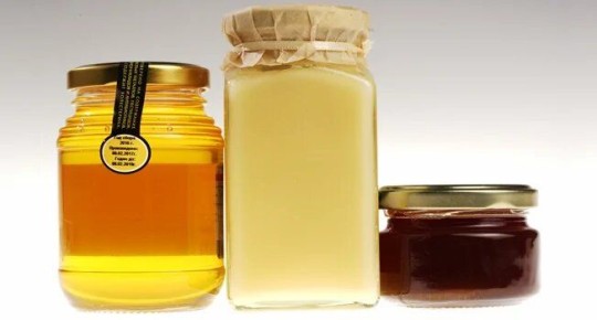 Разнообразие меда: от майского до гречишного — что выбрать?