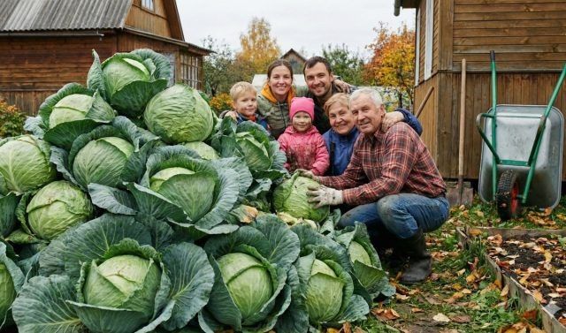 ���-10 ������ ������� ��� ���������� �������� � �������� � 2026 ����