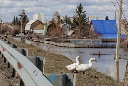 � ����������� ������� �������� �� �������� ���������� �������