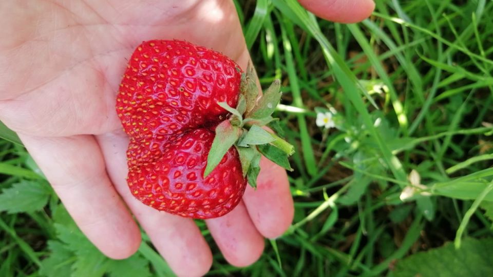 ��� ���� ������� ������� ��������� �������� ������ ��������