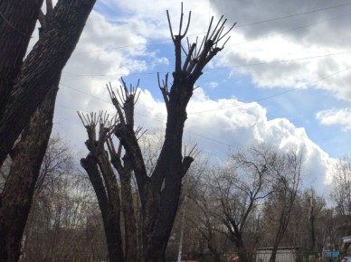 ���������� ��������: ����� ��� ������������� ������������� � ��� ����� ������?