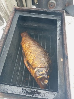 ��������� ������ �������� ����: ��� �� ��������� � ����������