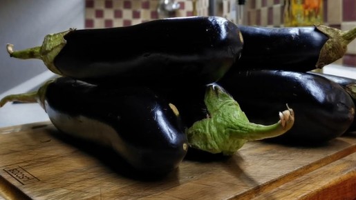 ����������� ��������: ��������� ���������� ������� ������ �����