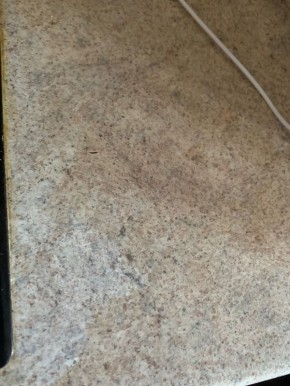 ������� ����� ������������: ��� ������������ ���������� ������� ���������� ����-��������