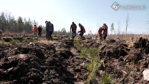 ����������� ���������� �������� ������� � ������ � �������� � ���� ������� ������������� �����