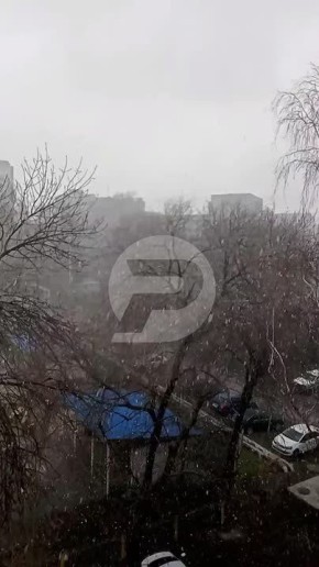 �������� ���� � ����������