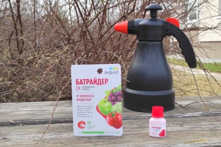 ��� ���������� ������� �������� ��� ��� � ������ �� ����������