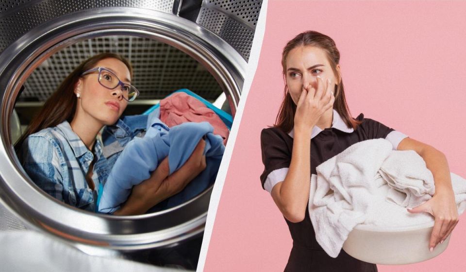 ��� ������ ����� ����� ��������� ���� ���������� ������