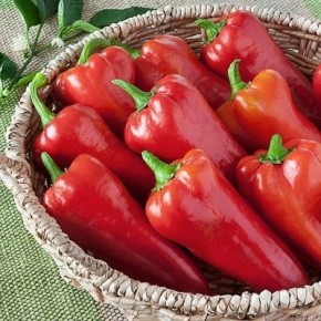 ����� ������� �������: ������� ������ � ����������� ����������������