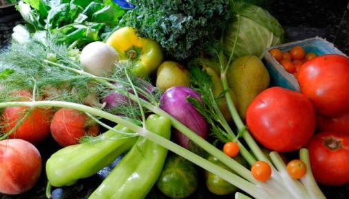 �������������: ������������� � ������������� ������� ������ ������ � �������