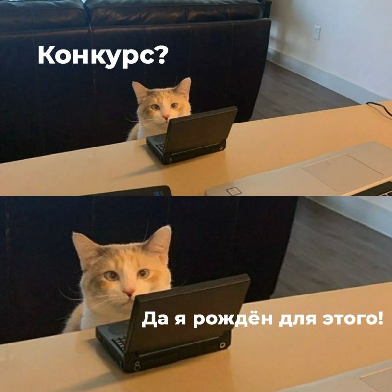 ���������� ���������� ������� ������� �� ������������� �������� ������� �� ���������