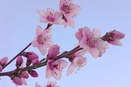 ������ �������: ������� ������ � ������������ �����