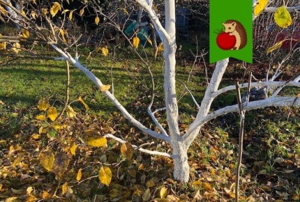 ������ ��� ������� �������� ������: ��� �������� ������ � �������� ���