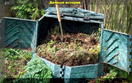 ��� �������� ������������ ������� �� �������: ������� �������� ����������