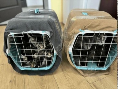 13 �������� ����������� �� ������� ������ � ��������� �� ����������