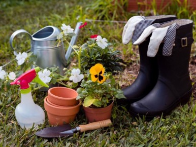 ������ �� ���������� ������ ���������?