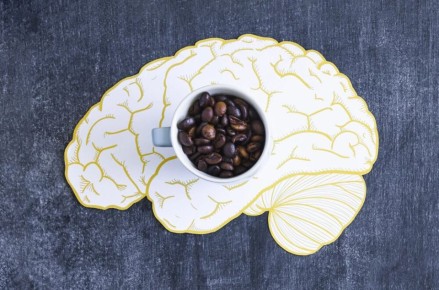 ����: �� �������� �� ����������� �����