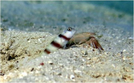 ������ �������� � �������� �����: ��� ��� ������ �� ��������� ��������������